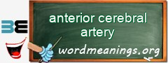 WordMeaning blackboard for anterior cerebral artery